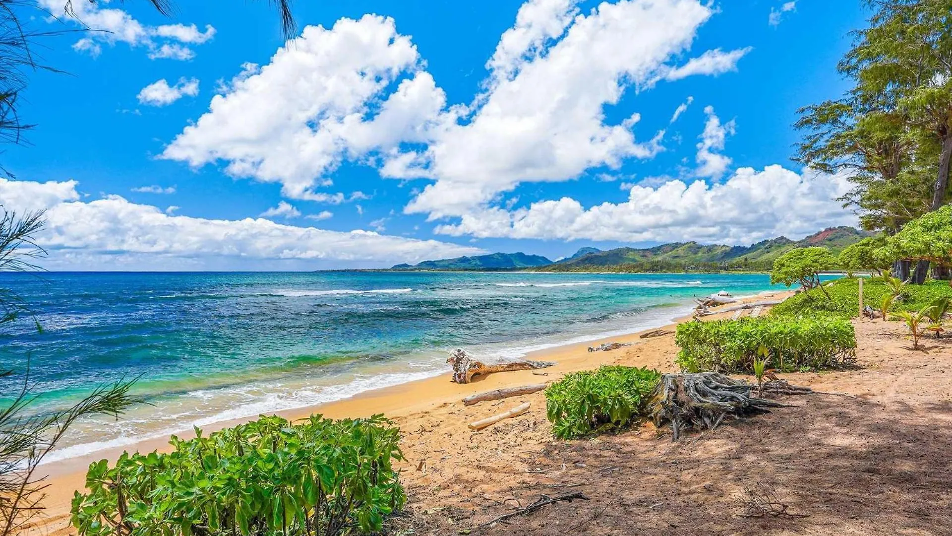 Apartment Islander On The Beach 319 Kapa'a