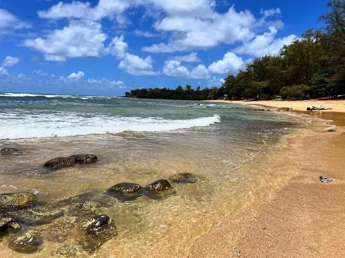 Islander On The Beach 319 Kapa'a